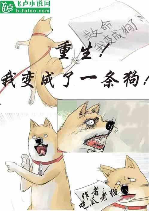 娱乐吃瓜宠物小说免费阅读,吃瓜小说免费畅读